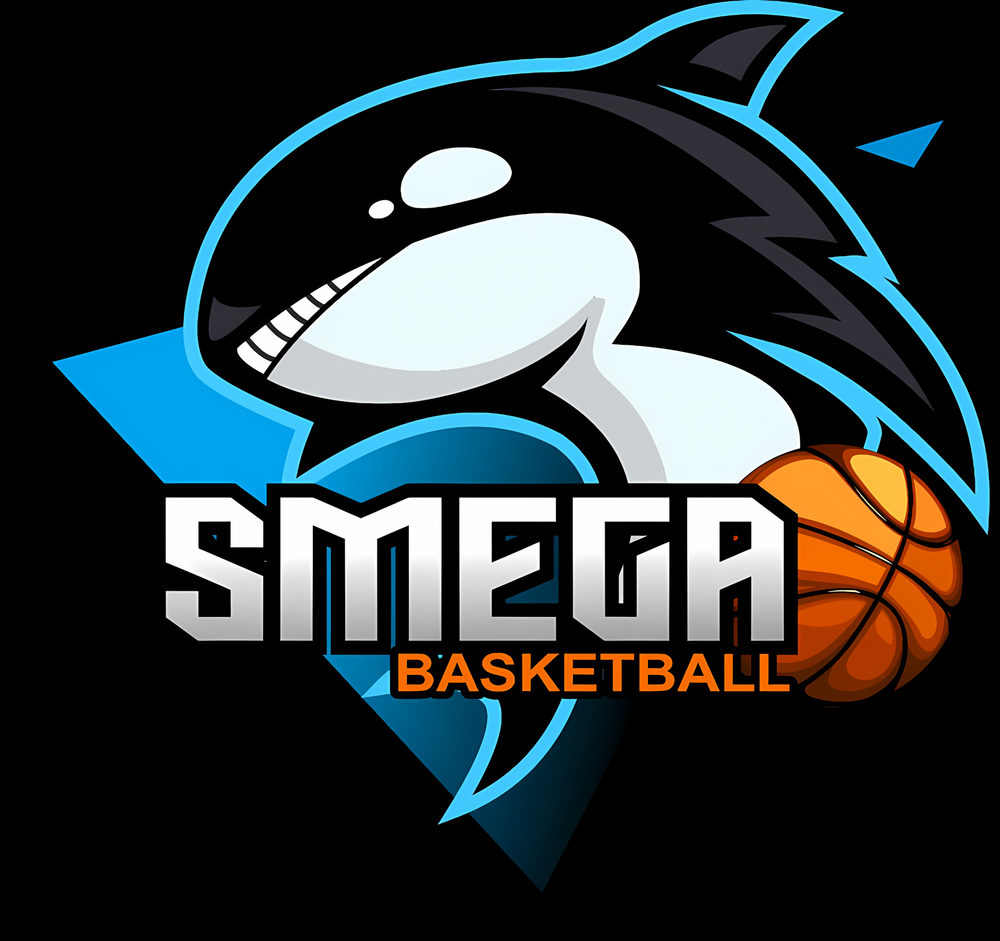 Bola Basket